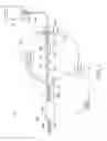Fig. 02 - Simulated Organ