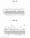 Fig. 04 - Display device using semiconductor light-emitting diode, scan lines and data lines