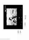 Fig. 24 - Automatic generation of video from structured content