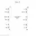 Fig. 06 - Memory device and read method of memory device