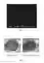 Fig. 06 - Glass composition for vitrifying low-level radioactive waste resin