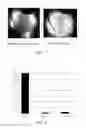 Fig. 07 - Glass composition for vitrifying low-level radioactive waste resin
