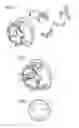 Fig. 02 - Actuator having a mechanical signal display