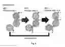 Fig. 08 - Methods for thin film deposition