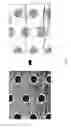 Fig. 05 - COMPOSITION FOR COATING PHOTORESIST PATTERN AND METHOD FOR FORMING FINE PATTERN USING THE SAME