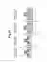 Fig. 48 - Semiconductor device