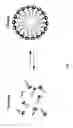 Fig. 08 - Semiconductor device having a porous low-k structure
