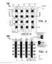 Fig. 03 - Vertical cross-point memory arrays