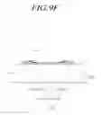 Fig. 27 - Organic light emitting device
