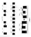Fig. 07 - Strained group IV channels