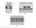 Fig. 06 - High doped III-V source/drain junctions for field effect transistors