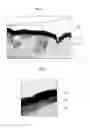 Fig. 06 - Solar cell
