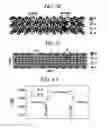 Fig. 04 - Atomic layer junction oxide and preparing method thereof