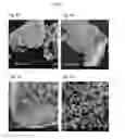 Fig. 06 - Method and material for lithium ion battery anodes