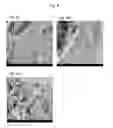 Fig. 09 - Method and material for lithium ion battery anodes