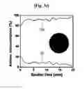 Fig. 06 - NANOWIRE FOR ANODE MATERIAL OF LITHIUM ION CELL AND METHOD OF PREPARING THE SAME
