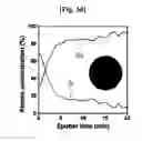 Fig. 07 - NANOWIRE FOR ANODE MATERIAL OF LITHIUM ION CELL AND METHOD OF PREPARING THE SAME