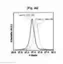 Fig. 09 - NANOWIRE FOR ANODE MATERIAL OF LITHIUM ION CELL AND METHOD OF PREPARING THE SAME