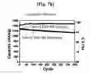 Fig. 22 - NANOWIRE FOR ANODE MATERIAL OF LITHIUM ION CELL AND METHOD OF PREPARING THE SAME
