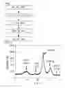 Fig. 02 - Method for producing fuel cell catalyst