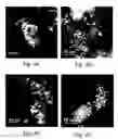 Fig. 06 - Oxidative Control of Pore Structure in Carbon-Supported PGM-Based Catalysts