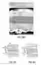 Fig. 55 - Fuel cell device and system