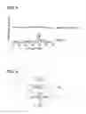 Fig. 04 - Proton conductor, method for producing proton conductor, and fuel cell