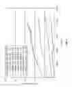 Fig. 09 - Semi-solid electrodes having high rate capability