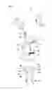 Fig. 08 - Apparatus for assembling fuel cell stack