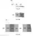 Fig. 04 - Long cycle-life lithium sulfur solid state electrochemical cell