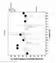 Fig. 03 - Electrolyte Formulations
