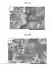 Fig. 08 - Lithium-sulfur batteries
