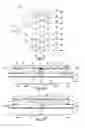 Fig. 02 - Transmitarray unit cell for a reconfigurable antenna
