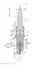 Fig. 01 - Spark plug