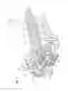 Fig. 07 - Re-enterable enclosure