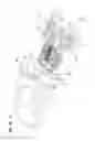 Fig. 24 - Re-enterable enclosure
