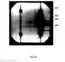 Fig. 07 - Method and system for testing indirect bandgap semiconductor devices using luminescence imaging