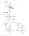 Fig. 02 - Semiconductor device, display module, and electronic device