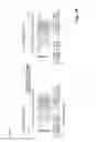 Fig. 26 - System and method for transmitting beamformed reference/control signals