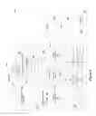 Fig. 07 - Generating conjunctive match flow entries