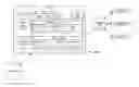 Fig. 01 - Single network interface for multiple interface virtual network functions