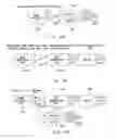 Fig. 15 - Semiconductor device and image processing method