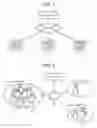 Fig. 02 - COMMUNICATION DEVICE, COMMUNICATION SYSTEM, AND COMPUTER-READABLE RECORDING MEDIUM