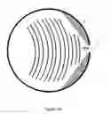 Fig. 03 - Reducing angular spread in digital image projection