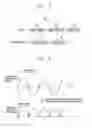 Fig. 05 - Mobile terminal equipped with a camera and controlling method thereof