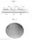 Fig. 02 - Imaging apparatus and image sensor including the same