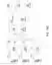 Fig. 15 - REFERENCE PICTURE LISTS MODIFICATION