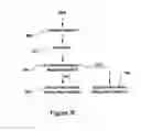 Fig. 12 - Systems and Methods with Early Variance Measure Used to Optimize Video Encoding