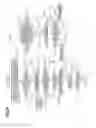 Fig. 05 - Image prediction encoding/decoding system