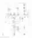 Fig. 79 - Broadcast transmission device, broadcast reception device, operating method of broadcast transmission device, and operating method of broadcast reception device